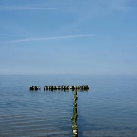 C 9 