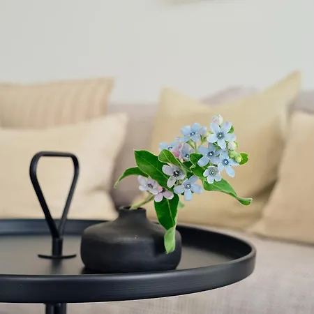 Apartment C 9 