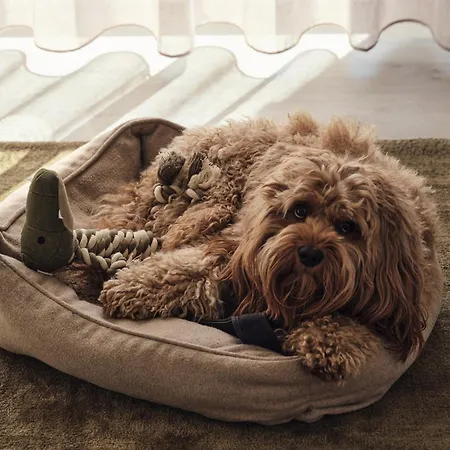 Apartmán C9 Mit Ueberdachtem Balkon & Nutzung Der Wellness- & Aktivbereiche Im 