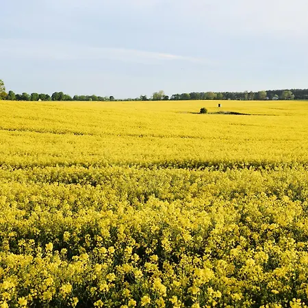 C9 Mit Ueberdachtem Balkon & Nutzung Der Wellness- & Aktivbereiche Im 
